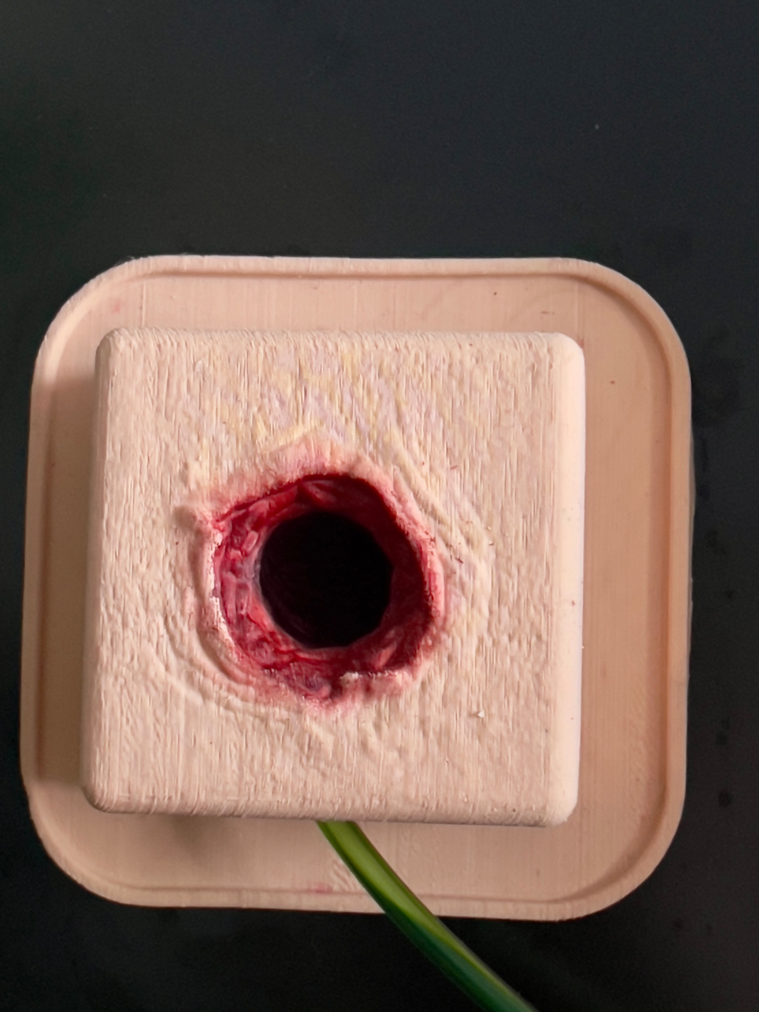 Manekin z realistyczną raną postrzałową na beżowej skórze, używany podczas kursu pierwszej pomocy. Widoczny element drenażu. Czarny stół w tle.