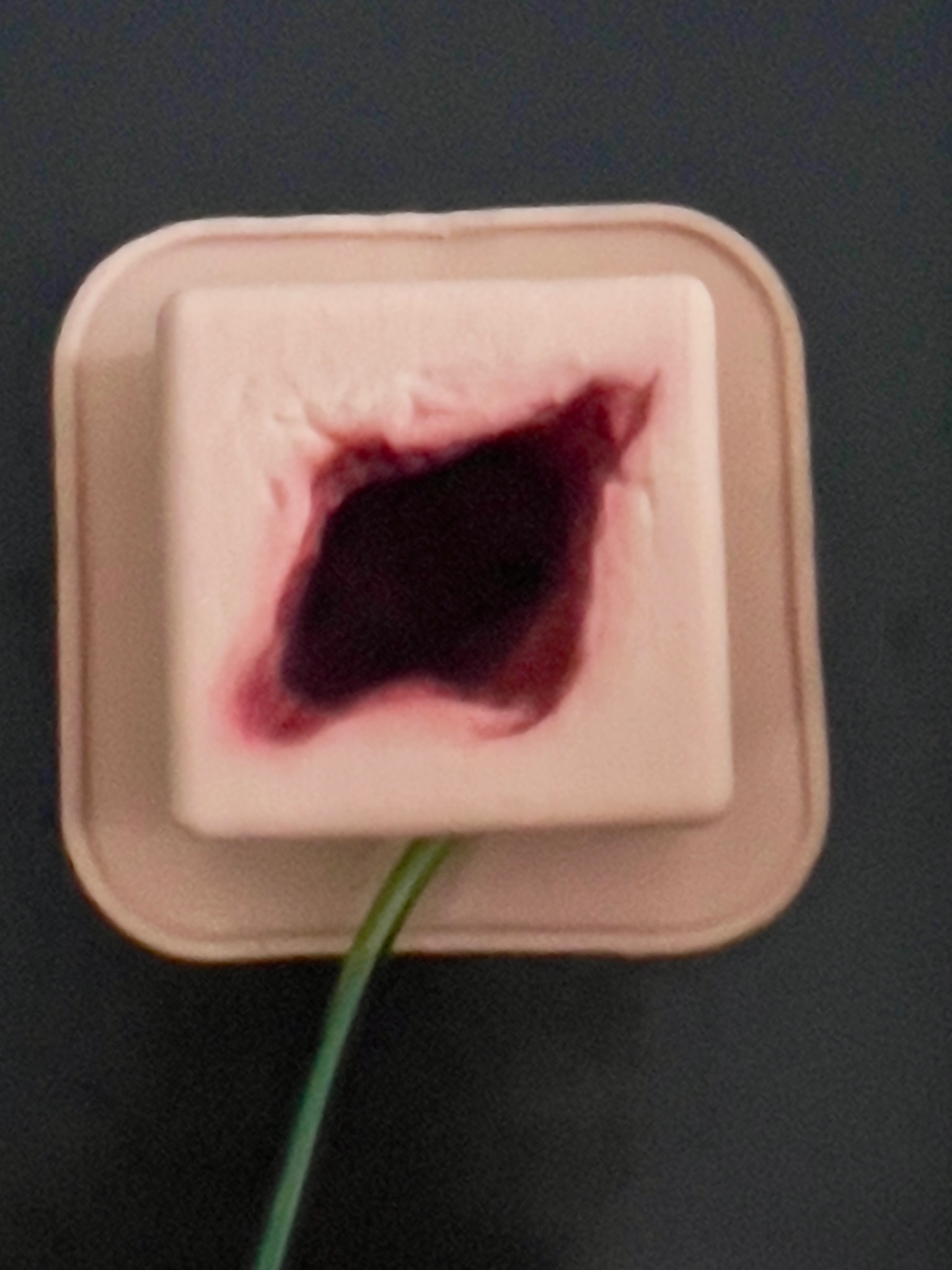 Manekin z symulacją rany szarpanej, używany podczas kursu pierwszej pomocy, z widocznymi imitacjami tkanek i krwawienia.