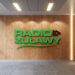 Stworzenie LOGO dla RADIO ŻUŁAWY