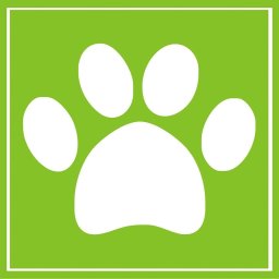 Gabinet Weterynaryjny Centaur - Leczenie Zwierząt Ełk