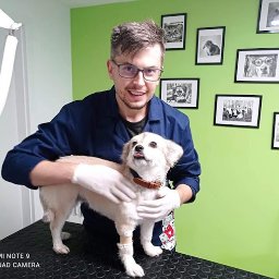 Gabinet Weterynaryjny Centaur - Uśmiechnięty mężczyzna w okularach i niebieskiej bluzie, w białych rękawiczkach, trzyma małego psa z bandażem na przedniej łapie na czarnym stole w gabinecie z zielonymi ścianami ozdobionymi...