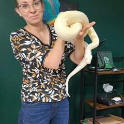 Gabinet Weterynaryjny Centaur - Kobieta w okularach, trzymająca w dłoniach dużego, białego węża albinosa, z półką w tle.