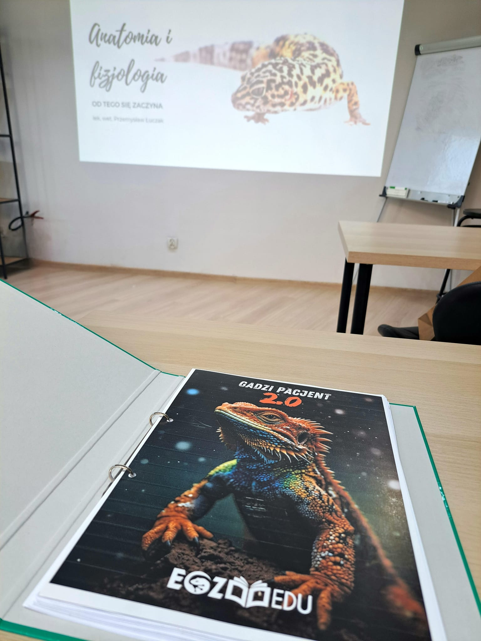 Sala wykładowa z rzutnikiem wyświetlającym slajd o anatomii i fizjologii jaszczurek, na pierwszym planie otwarty segregator z okładką przedstawiającą kolorową agamę brodatą i logo EgzovetEDU.