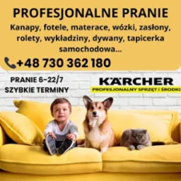 Reklama usług profesjonalnego czyszczenia z uśmiechniętym dzieckiem, psem rasy corgi i szarym kotem siedzącymi na żółtej kanapie, logo Karcher w prawym górnym rogu.
