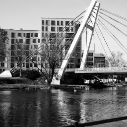 Adrian Trzaska - Czarno-białe zdjęcie mostu wiszącego nad rzeką z budynkami w tle, z pojedynczym łabędziem na wodzie i sprzętem budowlanym widocznym na brzegu.