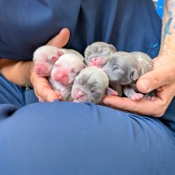 Prywatne kliniki Łódź 1