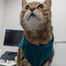 Prywatne kliniki Łódź 4