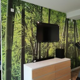 HRS interno sp.zoo - Pokój z fototapetą bambusową, szafka RTV z białymi bokami i drewnianymi frontami, telewizor na ścianie. Nowoczesne wnętrze z akcentem natury.