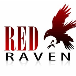 RED RAVEN KAROLINA BRACZKOWSKA - Instalatorstwo telekomunikacyjne Słupsk