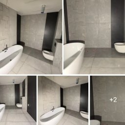 Glazurnik Paprotnia 1