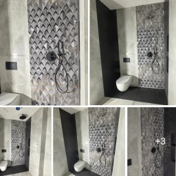 Glazurnik Paprotnia 2