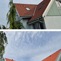 Sprzątanie mieszkań Łysomice 4