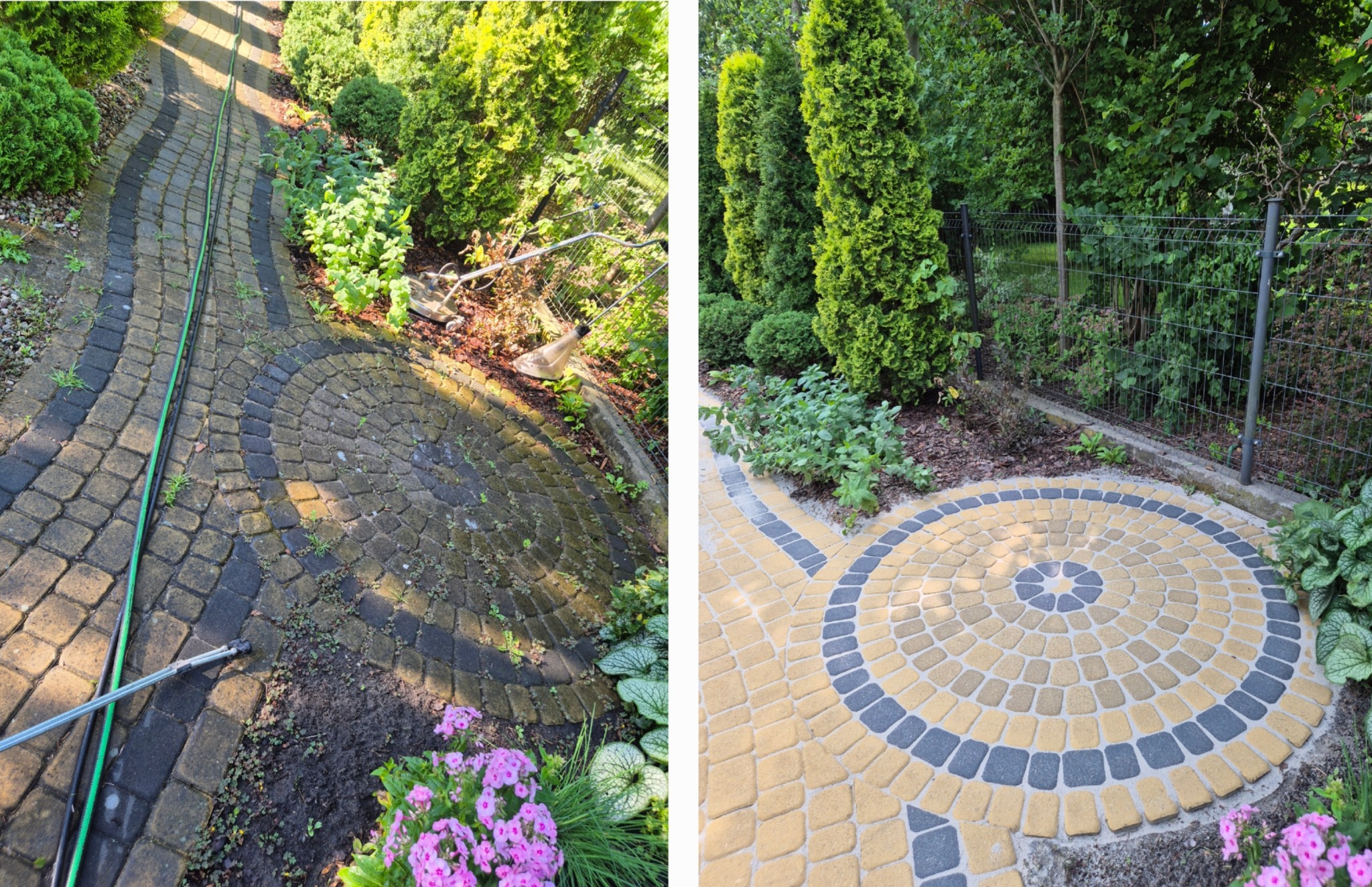 Zdjęcie kostki brukowej przed i po czyszczeniu, z widocznymi różnicami w kolorze i usuniętych zabrudzeniach, otoczonej zielenią i kwiatami.