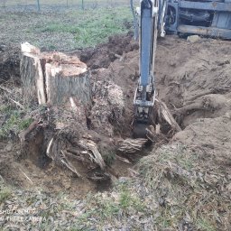 Kam-Bud usługi remontowo-budowlane - Koparka usuwa korzeń drzewa z ziemi, pozostawiając po sobie wykop. Widoczny pień po ściętym drzewie i fragment maszyny.