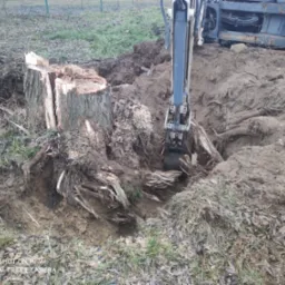 Koparka usuwa korzeń drzewa z ziemi, pozostawiając po sobie wykop. Widoczny pień po ściętym drzewie i fragment maszyny.