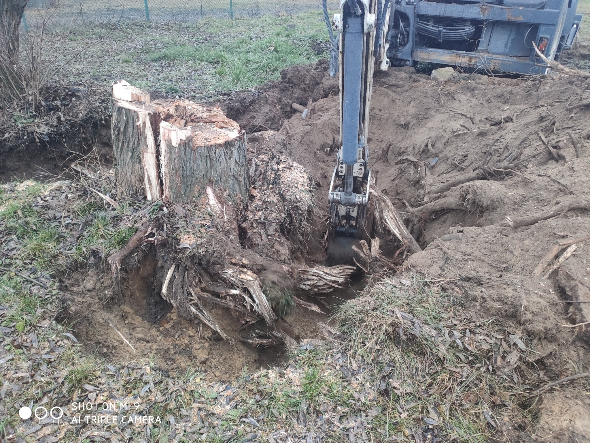 Koparka usuwa korzeń drzewa z ziemi, pozostawiając po sobie wykop. Widoczny pień po ściętym drzewie i fragment maszyny.