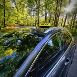 Szary samochód typu kombi z żółtym znakiem TAXI na dachu, zaparkowany na skraju leśnej drogi, z odbiciem drzew w szybach i promieniach słońca przebijających przez korony.