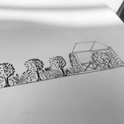 Projektowanie ogrodów Bydgoszcz 3