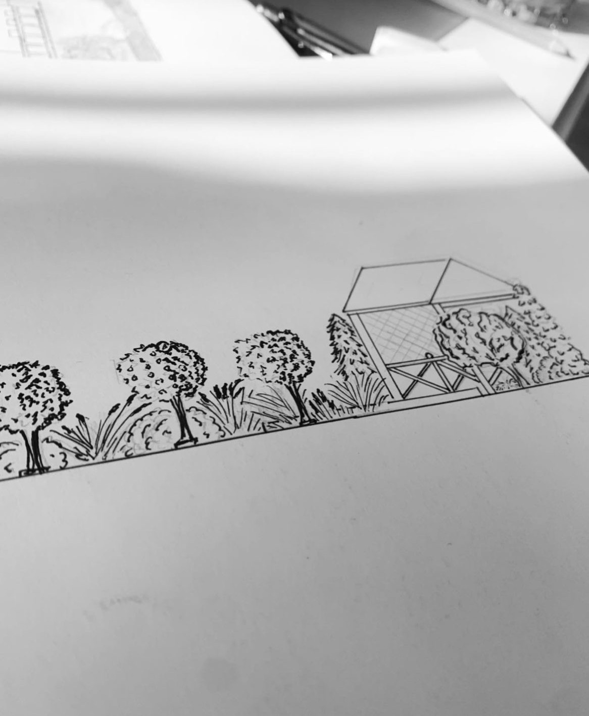 Szkic koncepcyjny ogrodu z altaną, drzewami i roślinnością, wykonany czarnym tuszem na białym papierze.