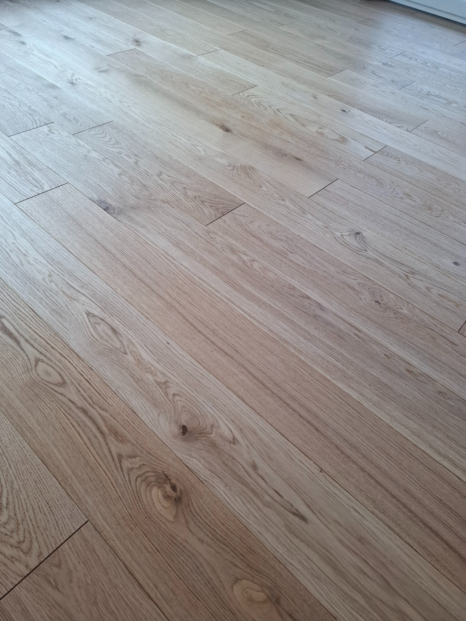 Jasny, dębowy parkiet ułożony w jodełkę francuską, z widoczną strukturą drewna i subtelnymi różnicami w odcieniach, oświetlony naturalnym światłem.