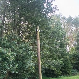 Kar-Net Karol Wojtaszuk - Dwie białe kamery monitoringu zamontowane na drewnianym słupie na tle zieleni drzew i trawy. Widok z dołu, kamery skierowane w lewo.