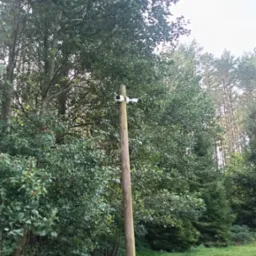 Dwie białe kamery monitoringu zamontowane na drewnianym słupie na tle zieleni drzew i trawy. Widok z dołu, kamery skierowane w lewo.