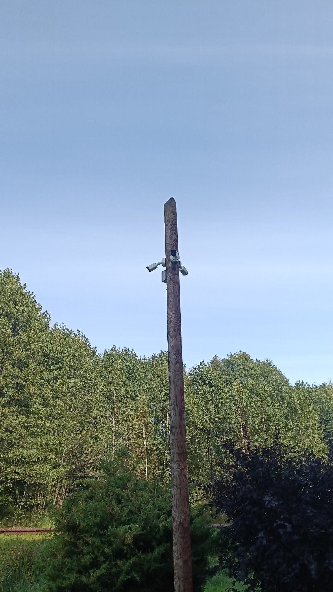 Słup drewniany z trzema kamerami monitoringu na tle zieleni i błękitnego nieba. Kamery skierowane w różnych kierunkach. Świeże, poranne światło.