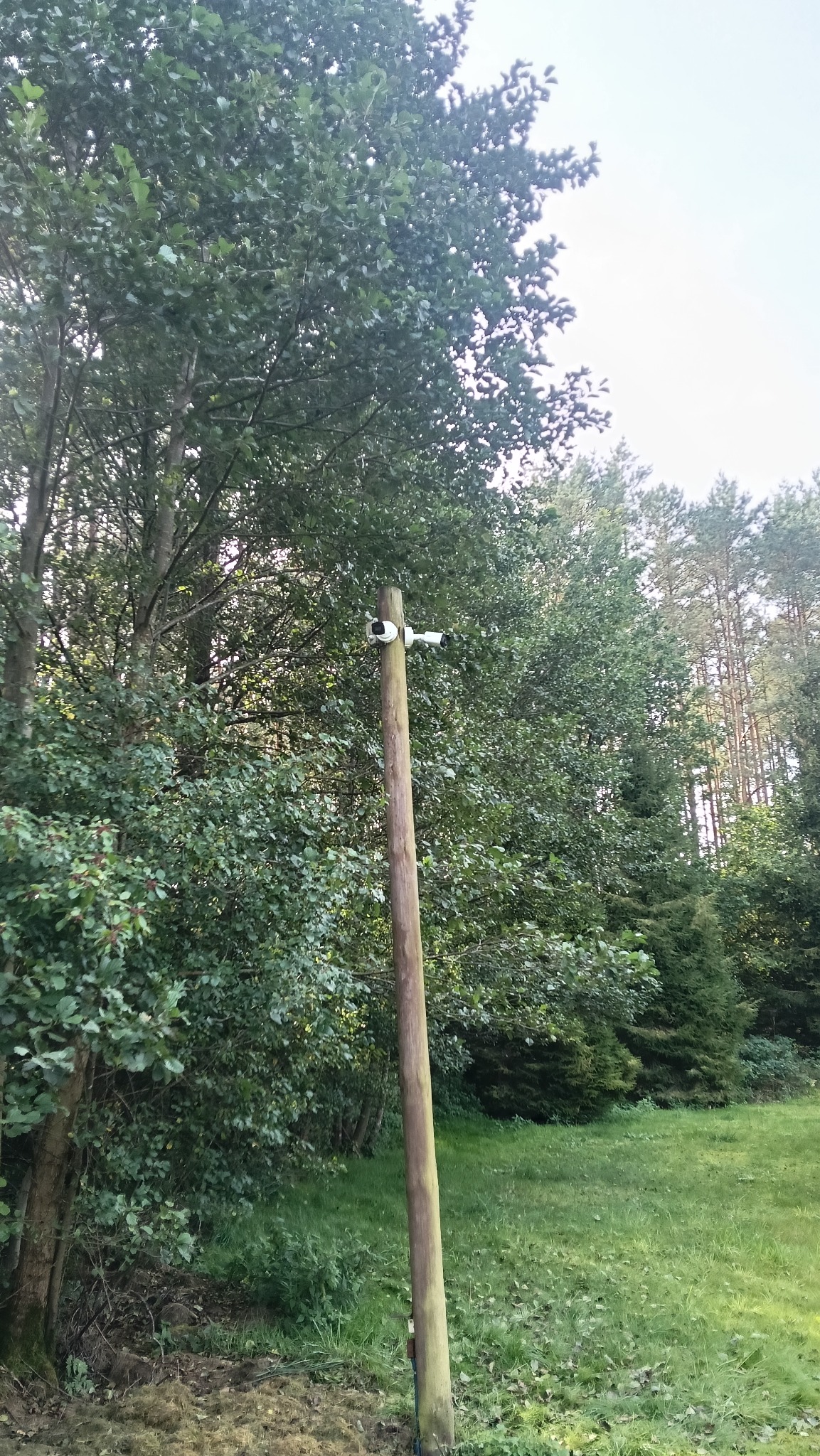 Dwie białe kamery monitoringu zamontowane na drewnianym słupie na tle zieleni drzew i trawy. Widok z dołu, kamery skierowane w lewo.