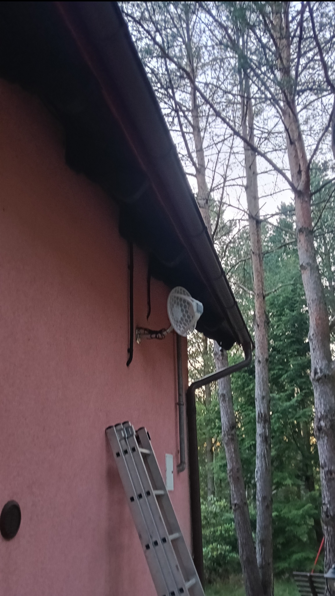 Antena sieci bezprzewodowej zamontowana na elewacji domu, widoczna drabina oparta o ścianę. Ujęcie z dołu, w tle drzewa.