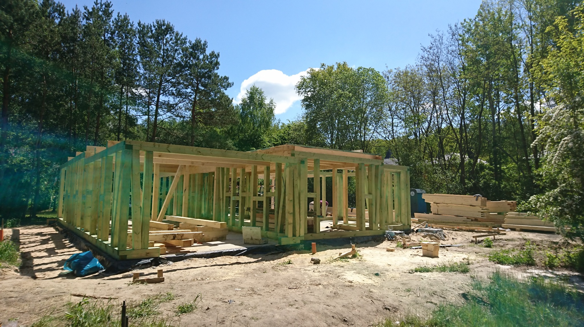Drewniana konstrukcja szkieletowa domu w trakcie budowy, widoczne pionowe słupki i poziome belki, impregnowane na zielono, na tle drzew i błękitnego nieba z chmurami.