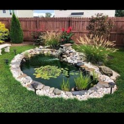 Trawa z rolki Błonie 4