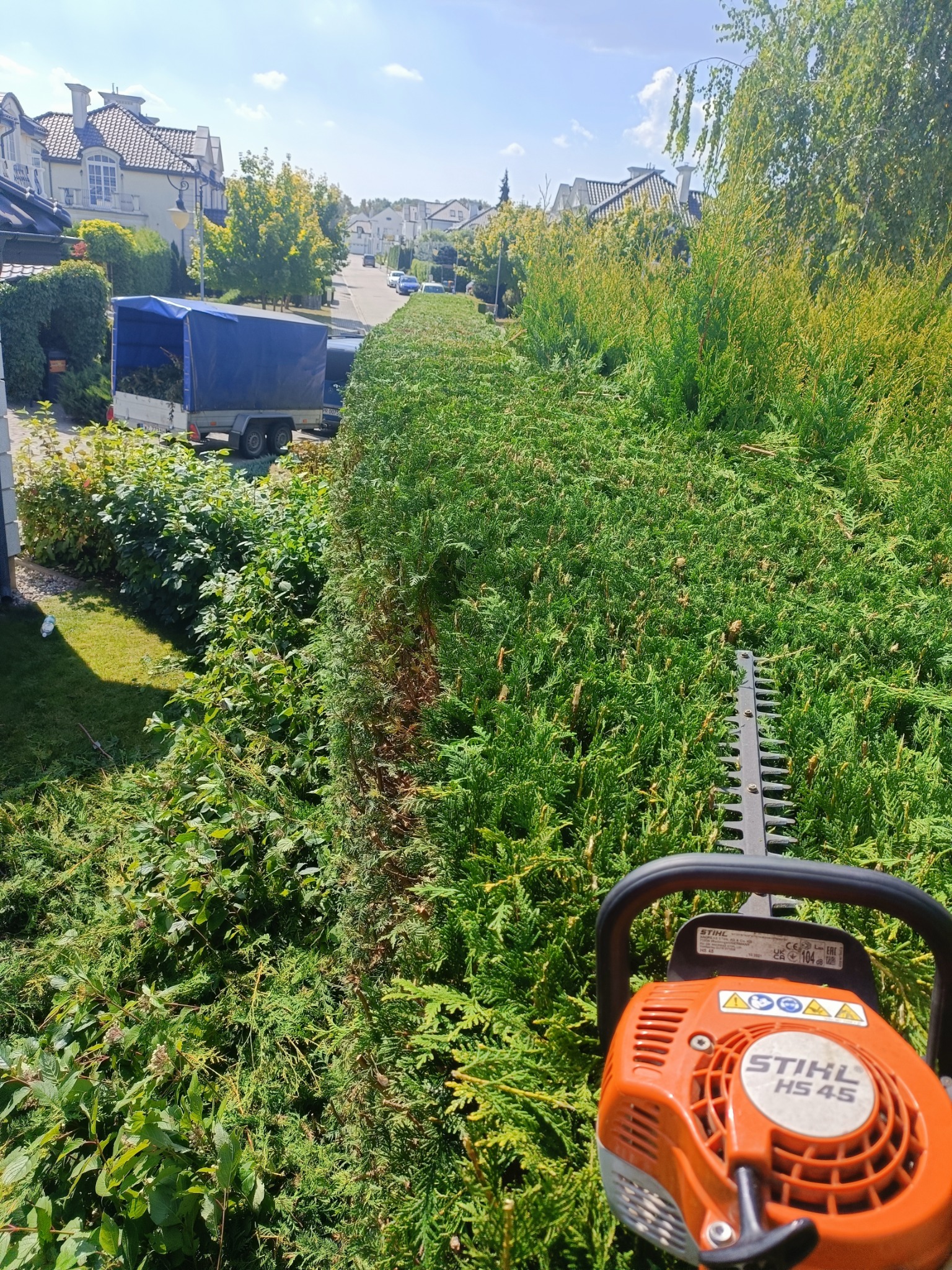 Przycinanie wysokiego żywopłotu z tui przy użyciu elektrycznych nożyc Stihl HS 45, z widocznym przyczepą z niebieską plandeką wypełnioną obciętymi gałęziami na tle osiedla domów.