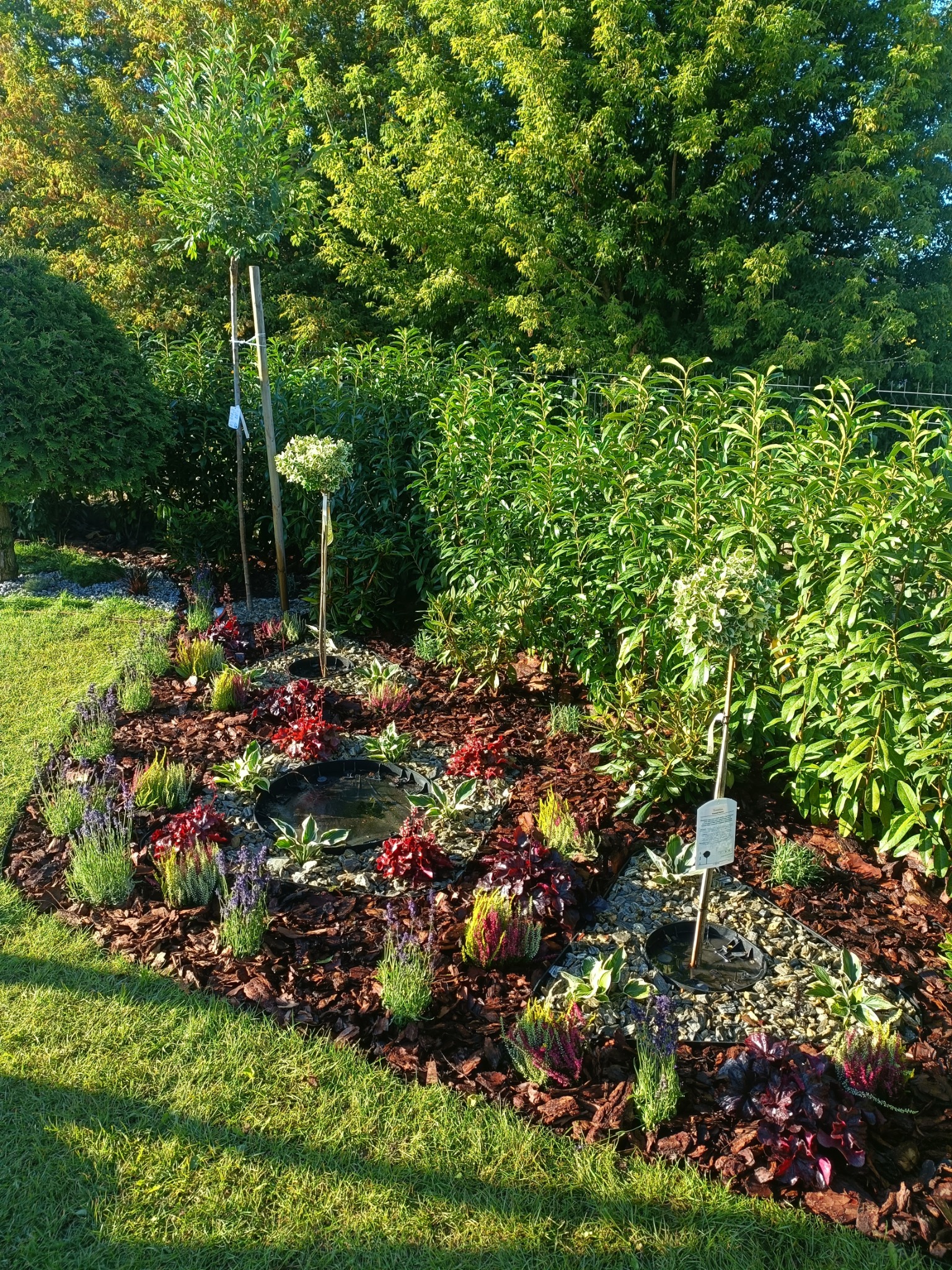 Starannie zaprojektowany rabat z krzewami, bylinami i korą, z obrzeżem z kostki granitowej, otoczony trawnikiem i żywopłotem, w słoneczny dzień.