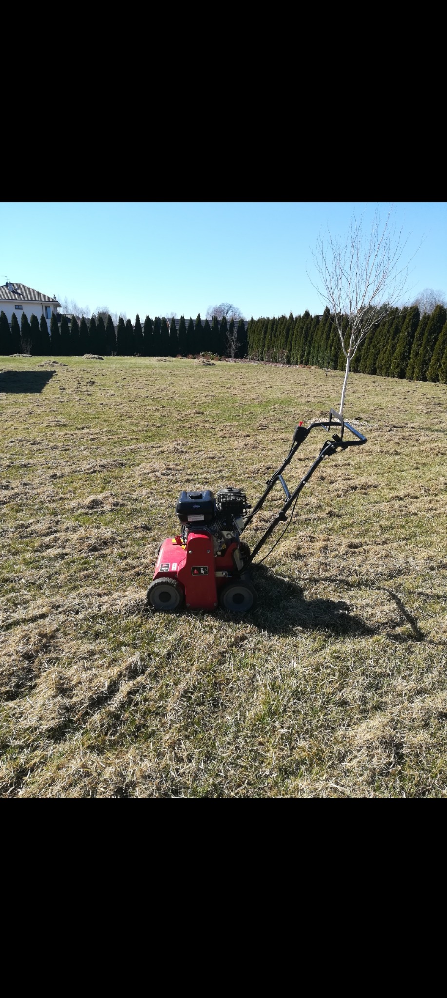 Wertekulacja areacja trawników