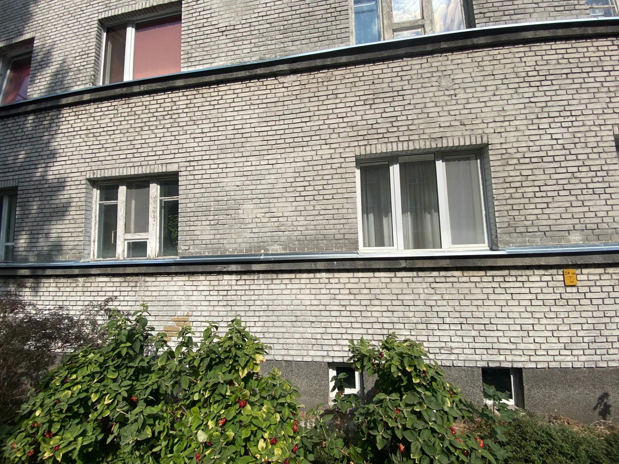 Szary budynek z cegły z metalową rynną, częściowo zasłonięty przez zielone krzewy z czerwonymi owocami.