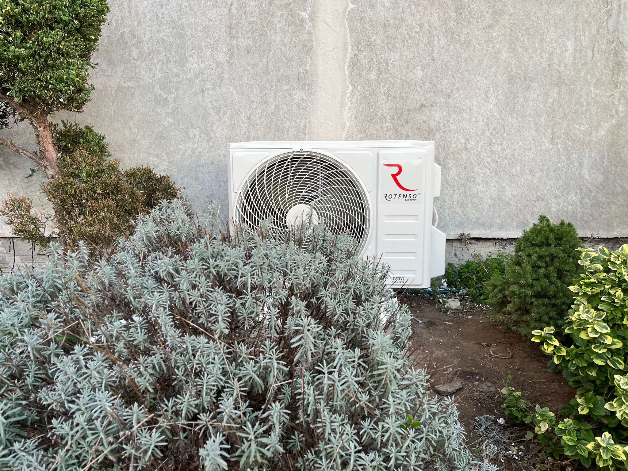 Biały klimatyzator Rotenso na zewnątrz budynku, częściowo zasłonięty przez krzewy lawendy i iglaki, z szarą ścianą w tle. Ujęcie z bliska, w naturalnym oświetleniu.