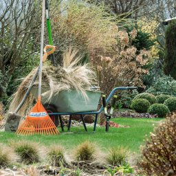 Czysty Ogród - Taczka wypełniona suchą trawą, obok grabie, łopata i sekator na tle zadbanego ogrodu z różnorodną roślinnością i małą drewnianą altaną.