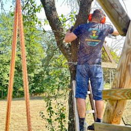 Przycinanie drzew Kupna 2