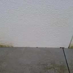 Szara, wilgotna kostka brukowa przy białej, chropowatej ścianie z zielonymi zabrudzeniami u dołu.