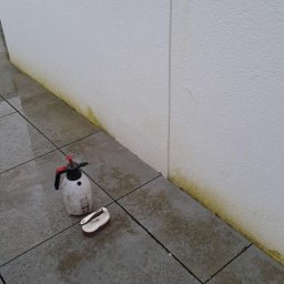 Sprzątanie mieszkań Słonino 4