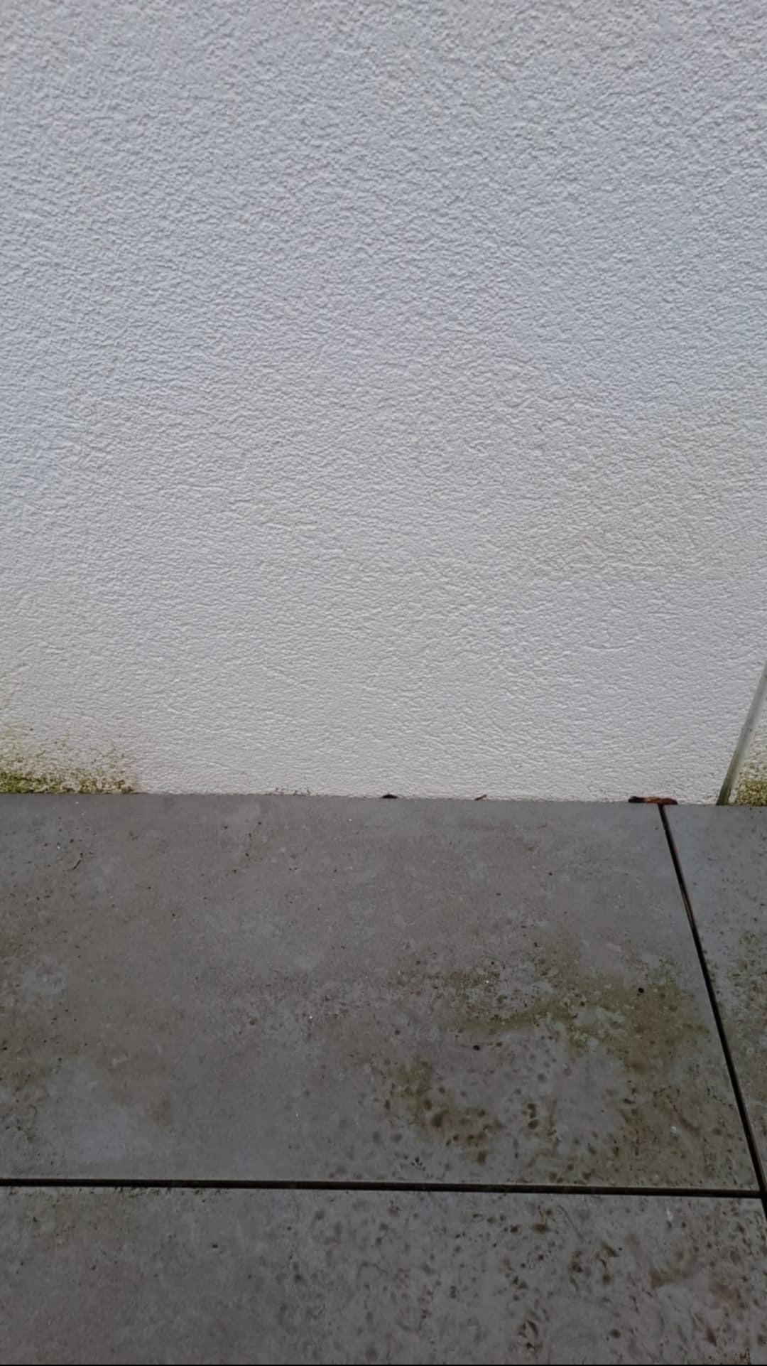 Szara, wilgotna kostka brukowa przy białej, chropowatej ścianie z zielonymi zabrudzeniami u dołu.