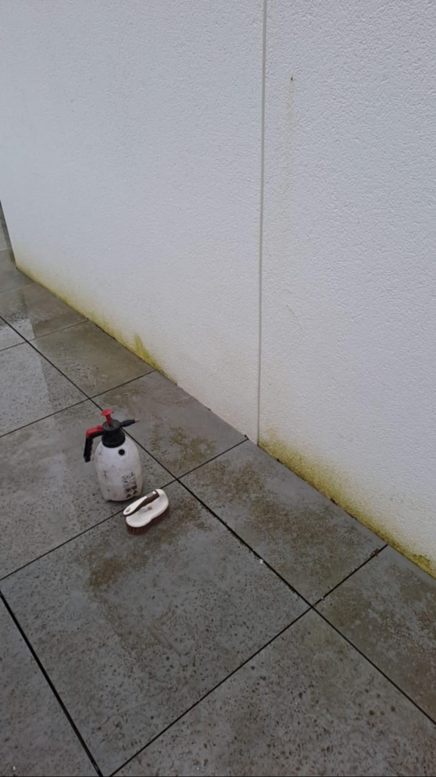 Biała ściana z widocznymi zielonymi zabrudzeniami przy podstawie, obok leżą spryskiwacz ciśnieniowy i szczotka na mokrej kostce brukowej.