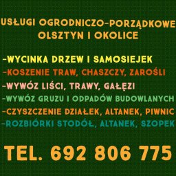Wycinka drzew Olsztyn 1