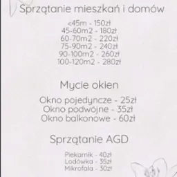 Cennik usług: sprzątanie mieszkań, mycie okien, sprzątanie AGD, z podziałem na metraż i typ okna.