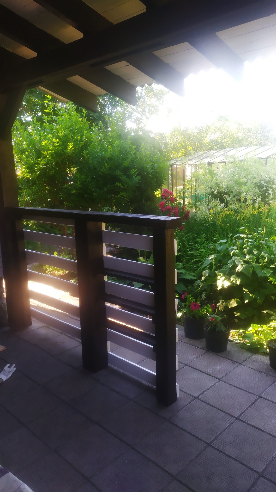 Fragment tarasu z ciemną podłogą z płytek, ogrodzony biało-czarną drewnianą balustradą, z widokiem na bujny ogród z kwiatami i szklarnią w tle, w słoneczny dzień.