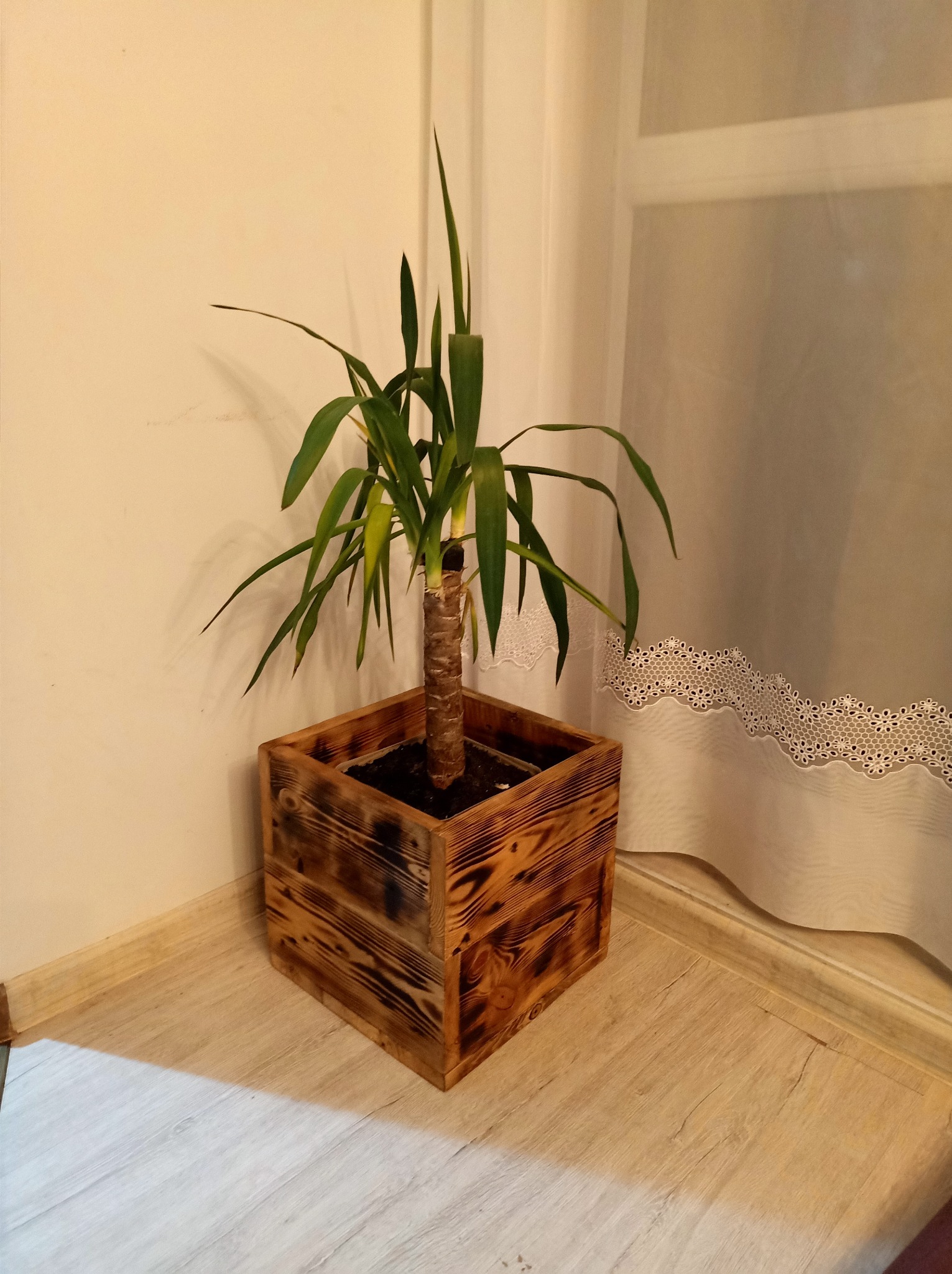 Donica z drewna opalanego