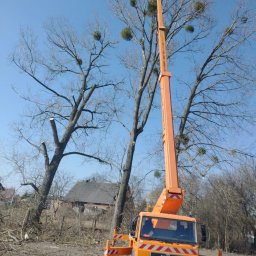 Mieszko - Rewelacyjne Prace Alpinistyczne Żnin