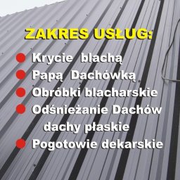 Blacharstwo dekarstwo Wiktor Dobrzelewski - Znakomita Firma Malująca Dachy Poddębice