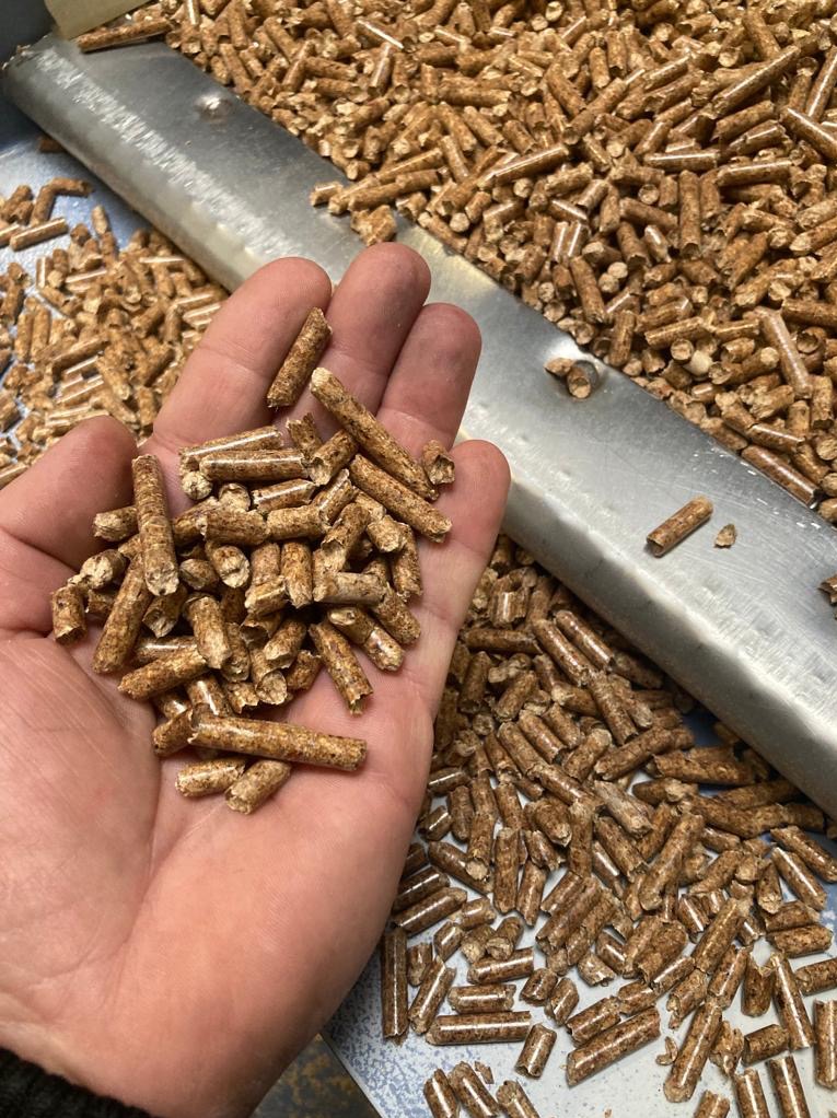 Garść jasnobrązowych, cylindrycznych granulek opału drzewnego na tle metalowej szyny i rozsypanych granulek.