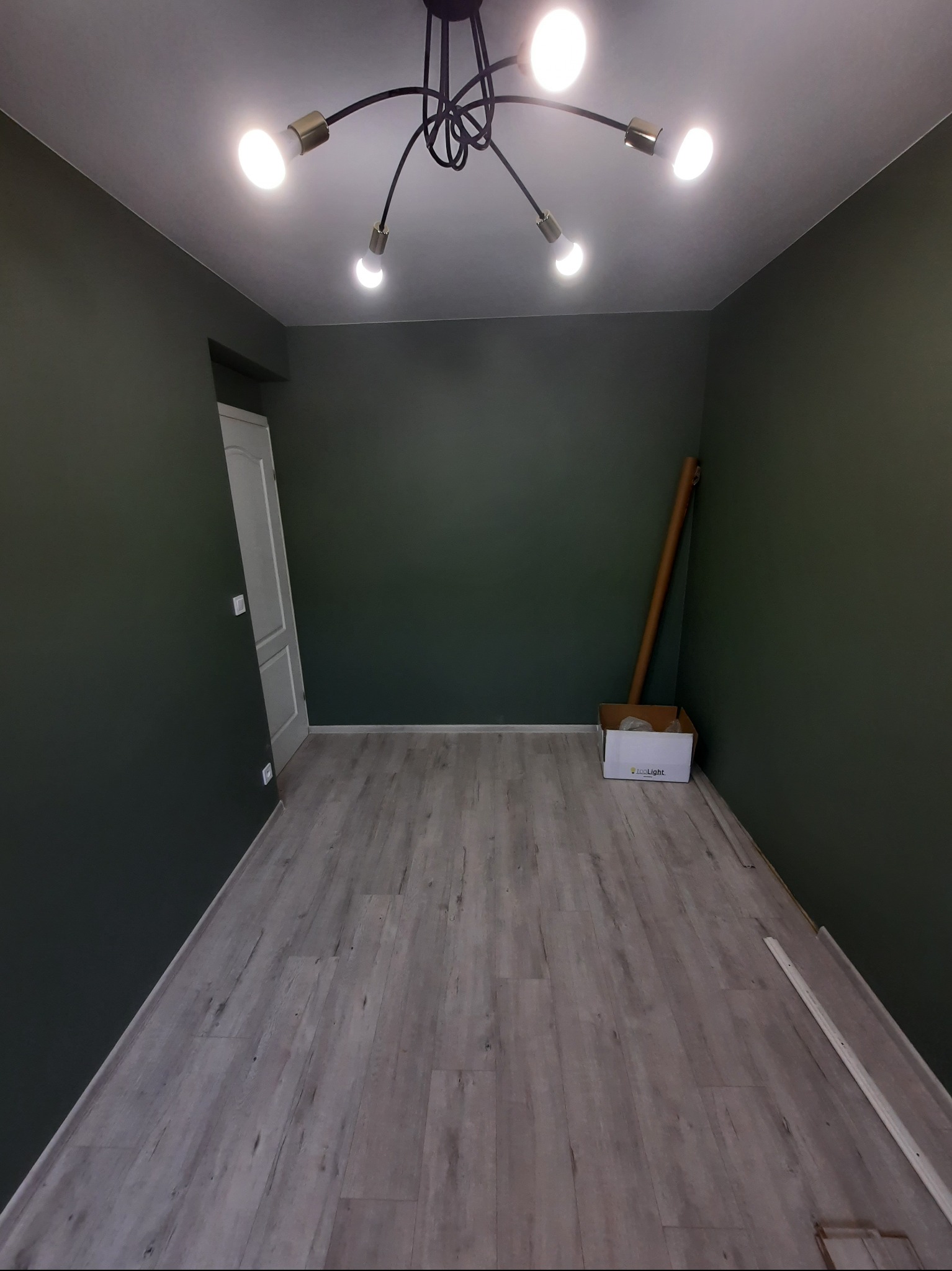 Pusty pokój po remoncie: szare panele podłogowe, ciemnozielone ściany, białe drzwi i nowoczesna lampa sufitowa z kilkoma żarówkami. Minimalistyczne wykończenie.
